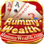rummy 91 agent icon